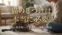 猫のしつけは本当に必要？初心者が知っておきたい基本を解説
