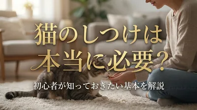 猫のしつけは本当に必要？初心者が知っておきたい基本を解説