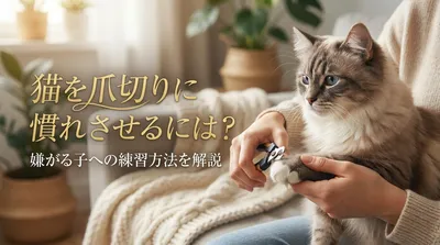 猫を爪切りに慣れさせるには？嫌がる子への練習方法を解説