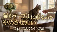 猫がテーブルに乗るのをやめさせたい｜安全に覚えてもらう方法
