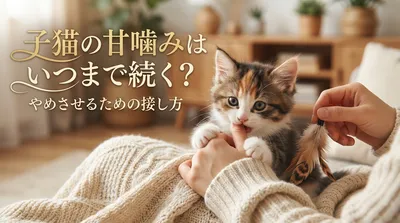 子猫の甘噛みはいつまで続く？やめさせるための接し方