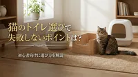 猫のトイレ選びで失敗しないポイントは？初心者向けに選び方を解説