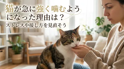 猫が急に強く噛むようになった理由は？ストレスや接し方を見直そう