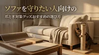 ソファを守りたい人向けの爪とぎ対策グッズおすすめの選び方