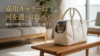 猫用キャリーは何を選べばいい？通院や移動で失敗しにくい選び方