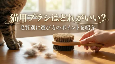 猫用ブラシはどれがいい？毛質別に選び方のポイントを紹介