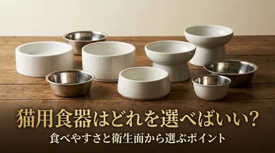 猫用食器はどれを選べばいい？食べやすさと衛生面から選ぶポイント