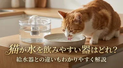 猫が水を飲みやすい器はどれ？給水器との違いもわかりやすく解説