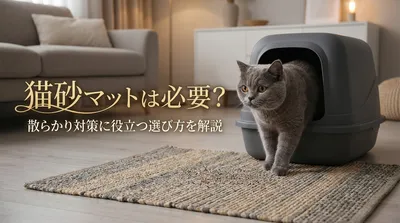 猫砂マットは必要？散らかり対策に役立つ選び方を解説