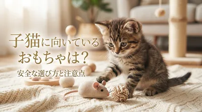 子猫に向いているおもちゃは？安全な選び方と注意点
