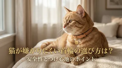 猫が嫌がりにくい首輪の選び方は？安全性とつけ心地のポイント