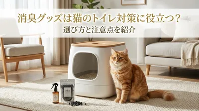 消臭グッズは猫のトイレ対策に役立つ？選び方と注意点を紹介