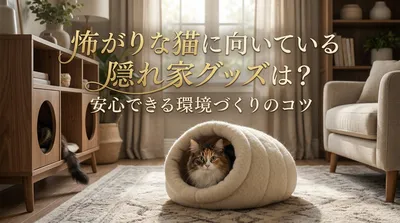 怖がりな猫に向いている隠れ家グッズは？安心できる環境づくりのコツ