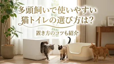 多頭飼いで使いやすい猫トイレの選び方は？置き方のコツも紹介