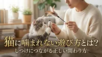 猫に噛まれない遊び方とは？しつけにつながる正しい関わり方