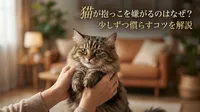 猫が抱っこを嫌がるのはなぜ？少しずつ慣らすコツを解説