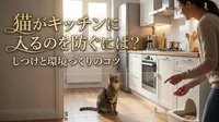 猫がキッチンに入るのを防ぐには？しつけと環境づくりのコツ