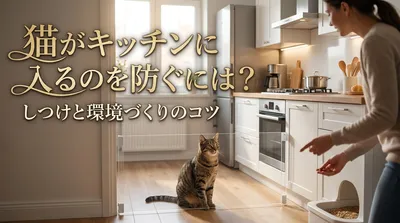 猫がキッチンに入るのを防ぐには？しつけと環境づくりのコツ