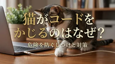 猫がコードをかじるのはなぜ？危険を防ぐしつけと対策
