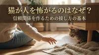 猫が人を怖がるのはなぜ？信頼関係を作るための接し方の基本