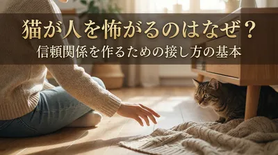 猫が人を怖がるのはなぜ？信頼関係を作るための接し方の基本