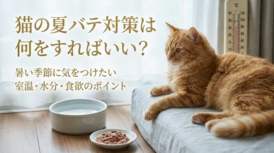 猫の夏バテ対策は何をすればいい？暑い季節に気をつけたい室温・水分・食欲のポイント
