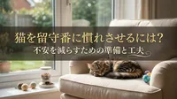 猫を留守番に慣れさせるには？不安を減らすための準備と工夫