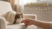 人見知りの猫を慣れさせるには？無理なく安心感を育てる方法
