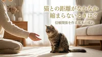 猫との距離がなかなか縮まらないときは？信頼関係を作る基本の流れ