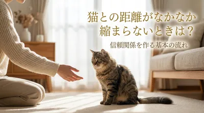 猫との距離がなかなか縮まらないときは？信頼関係を作る基本の流れ