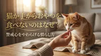 猫が手からおやつを食べないのはなぜ？警戒心をやわらげる慣らし方