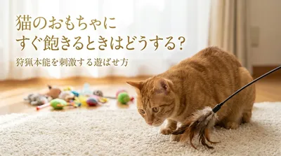 猫のおもちゃにすぐ飽きるときはどうする？狩猟本能を刺激する遊ばせ方