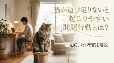 猫が遊び足りないと起こりやすい問題行動とは？見直したい習慣を解説