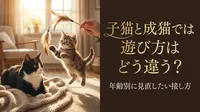 子猫と成猫では遊び方はどう違う？年齢別に見直したい接し方